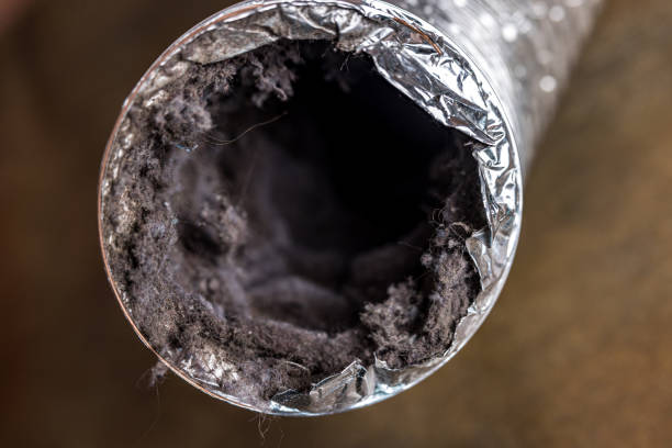 Best Commercial Air Duct Cleaning  in Kailua, HI