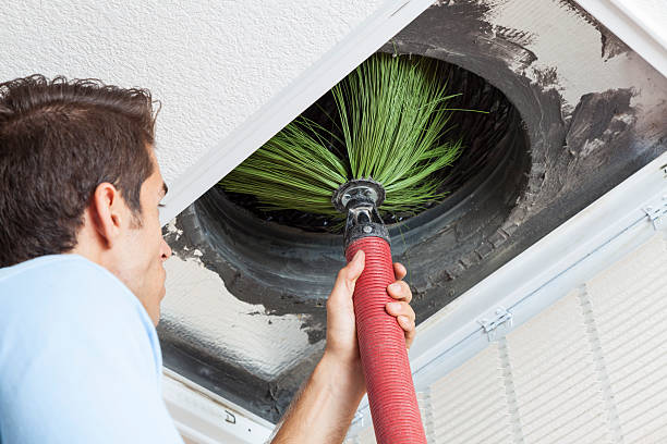 Best Affordable HVAC Duct Cleaning  in Kailua, HI