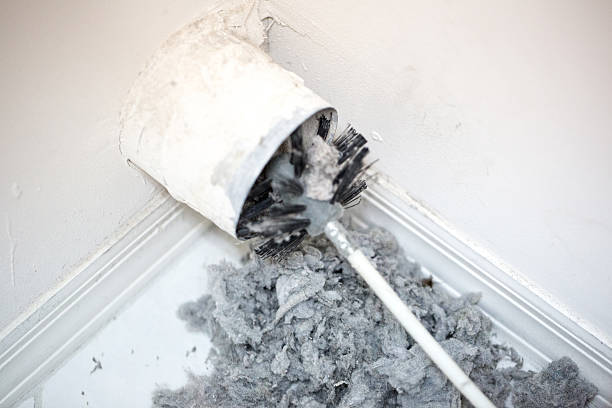 Best HVAC System Cleaning  in Kailua, HI
