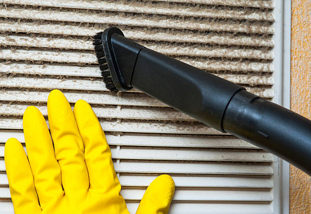 Best Air Vent Cleaning Services  in Kailua, HI